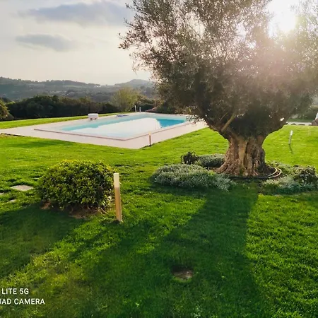 Dama Luxury Villa Alghero